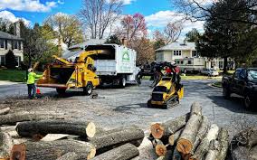 Best Lot and Land Clearing  in Woodstock, GA